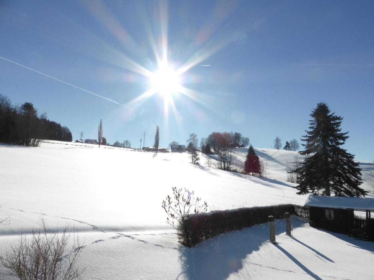 Wieshof Mein Ferienglueck Regen Esterno foto